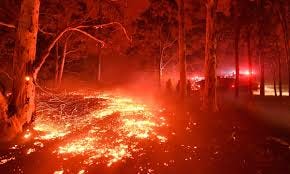 Australia's 'black summer' bushfires ...