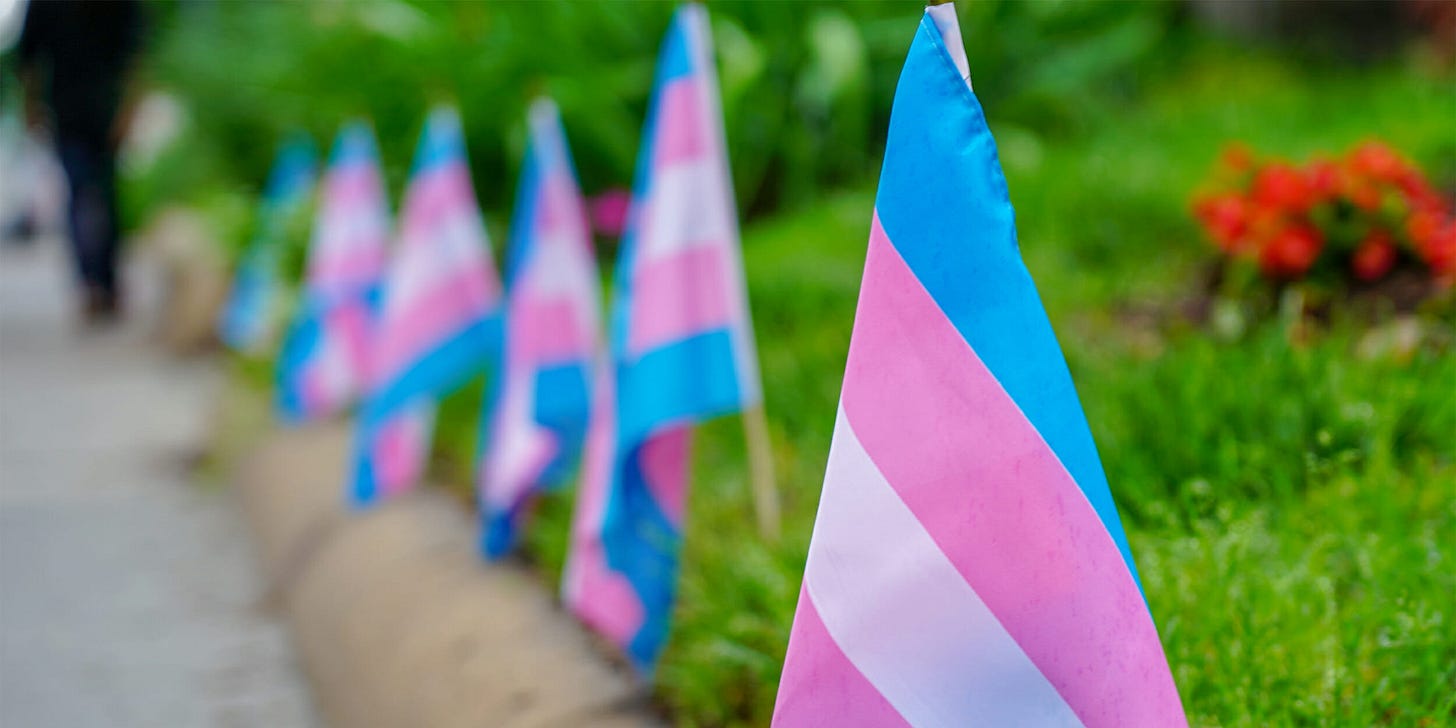 Transgender flags Transgender flags