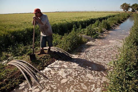 When a Green Revolution Runs Out of Water - The New York Times