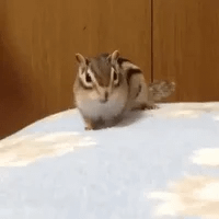 stretch yawn GIF stretch yawn GIF