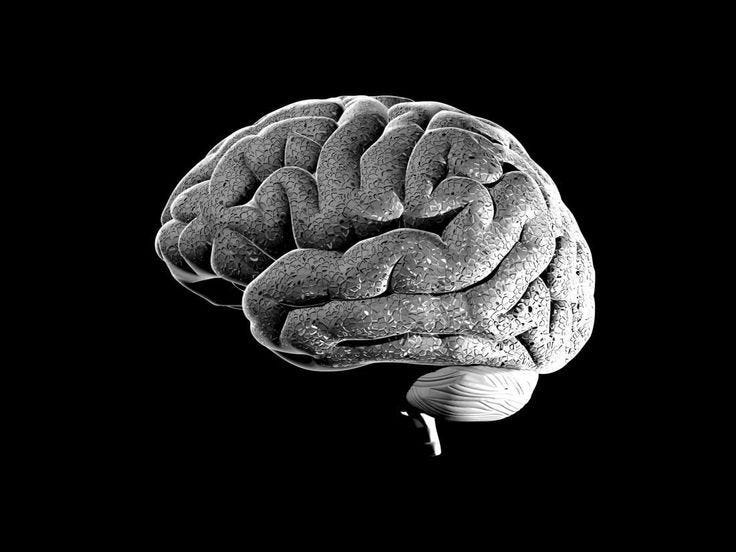 This may contain: a black and white photo of a human brain