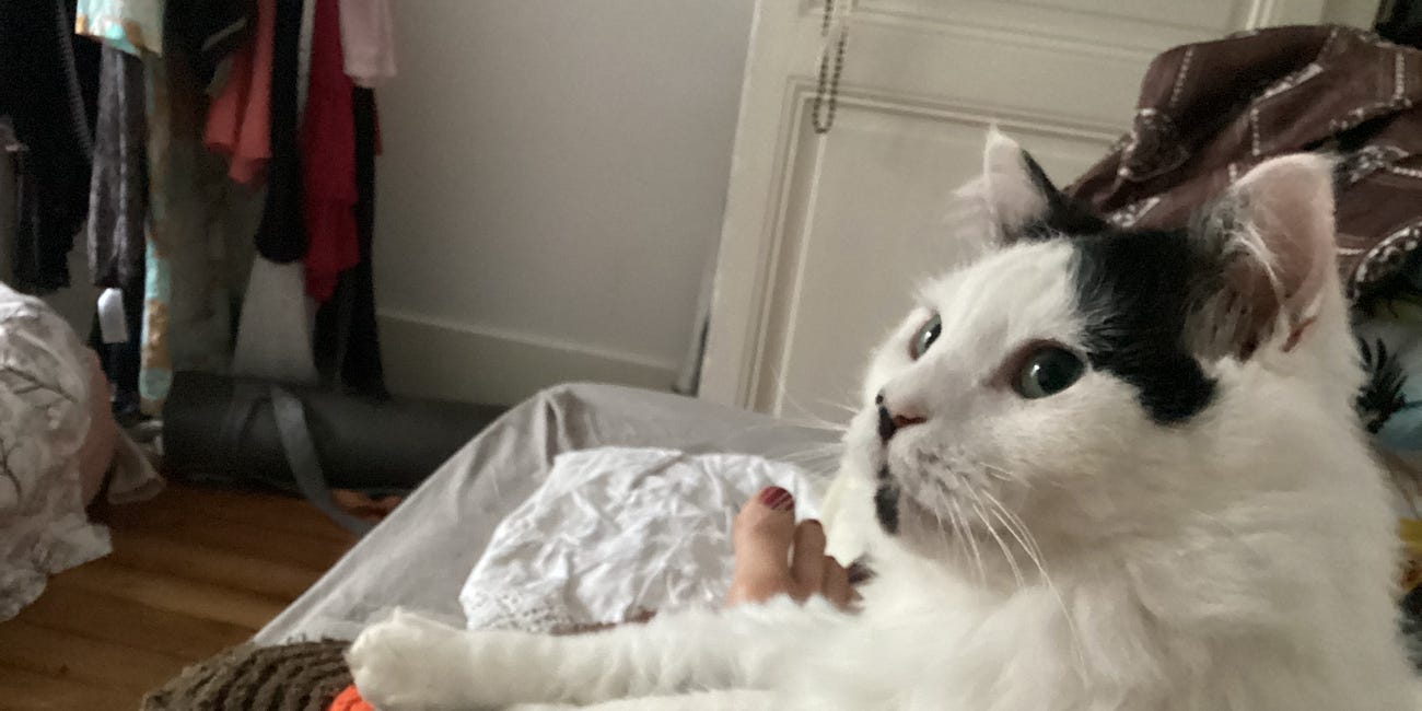 Brett and Leslie: Chapter Five