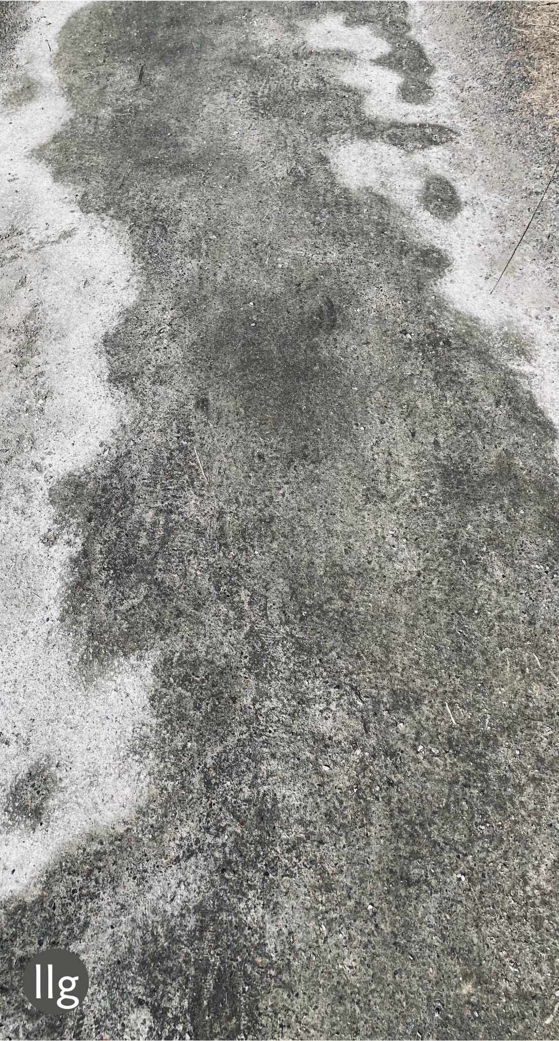 black and white abstract image