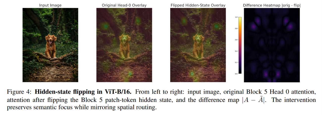 When Geometry Aligns: Dihedral Hidden-State Transformations in UNet, ViT, and DiT Architectures