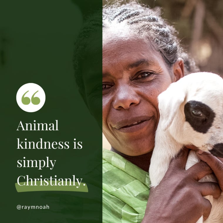 Be Kind to Animals Be Kind to Animals