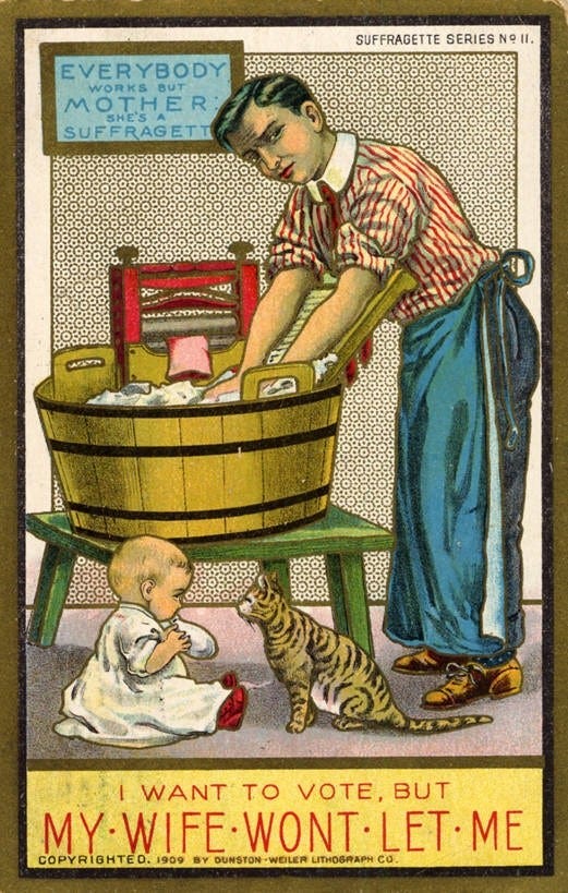 Women's Suffrage and the Cat (U.S. National Park Service) Women's Suffrage and the Cat (U.S. National Park Service)