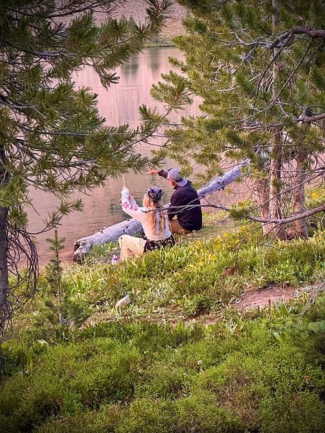 Idaho Sawtooth mountains bike packing fly fishing fireweed climate ecology regeneration 