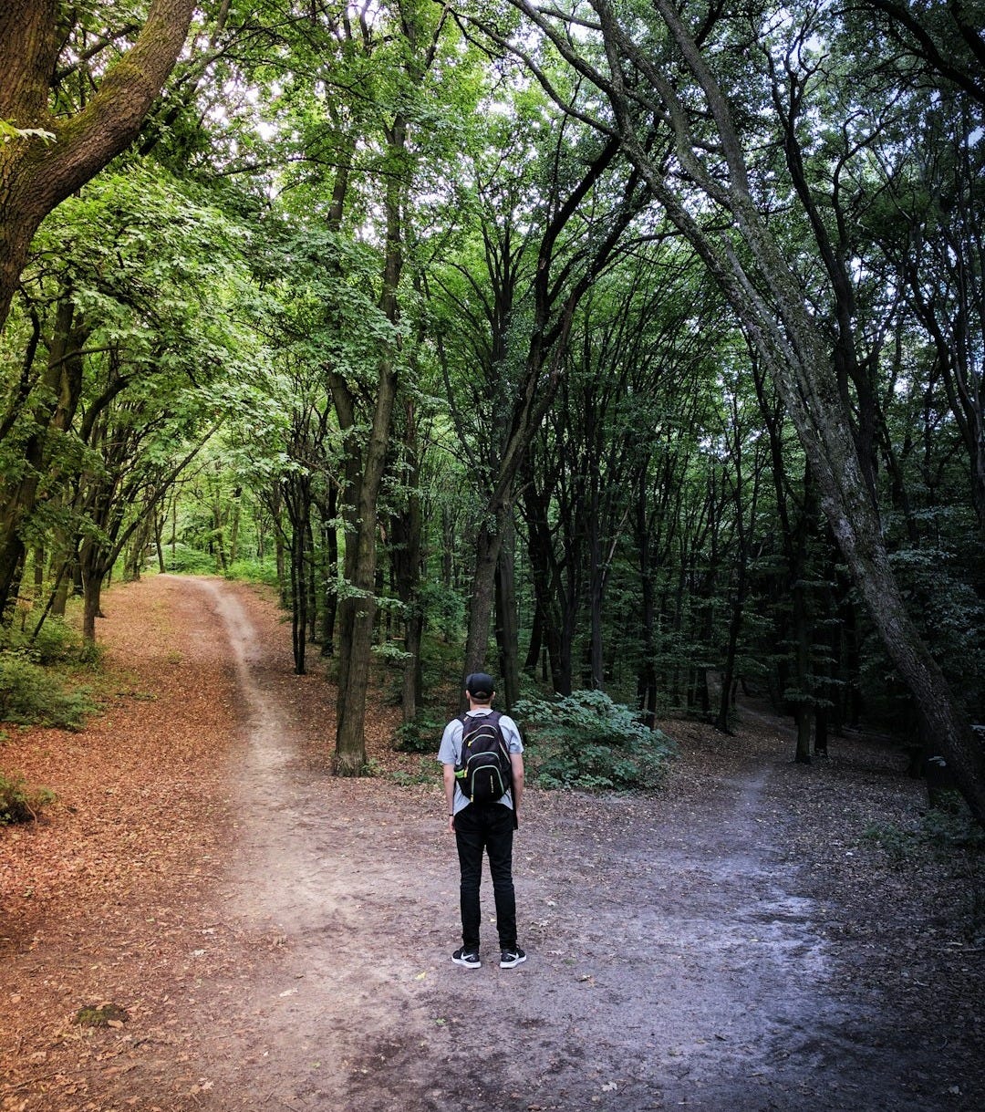 man standing in the middle of woods