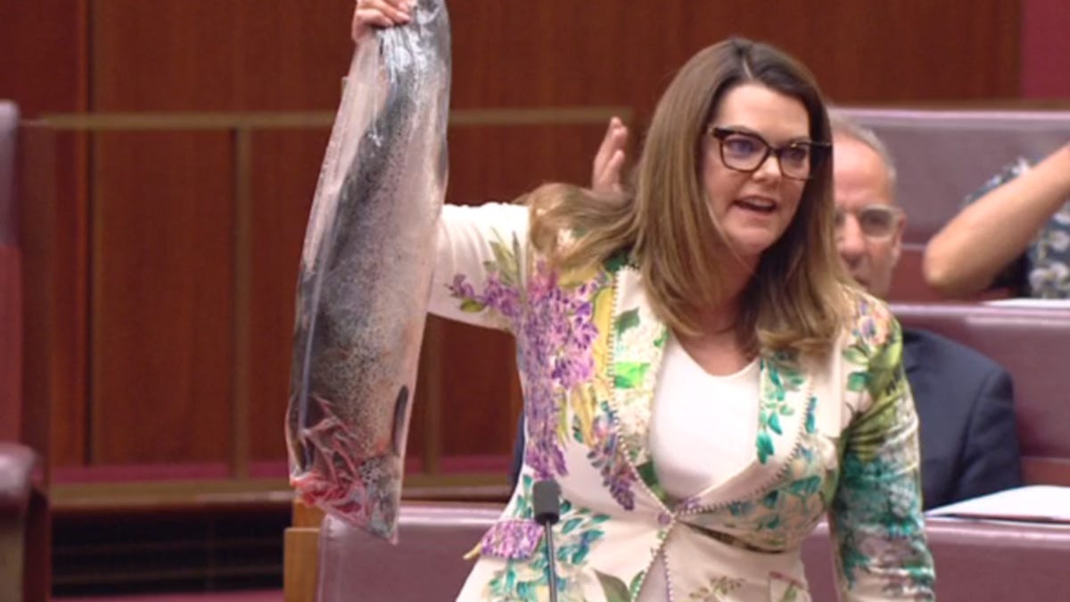 Senate disrupted after Greens Senator Sarah Hanson-Young whips out dead ...