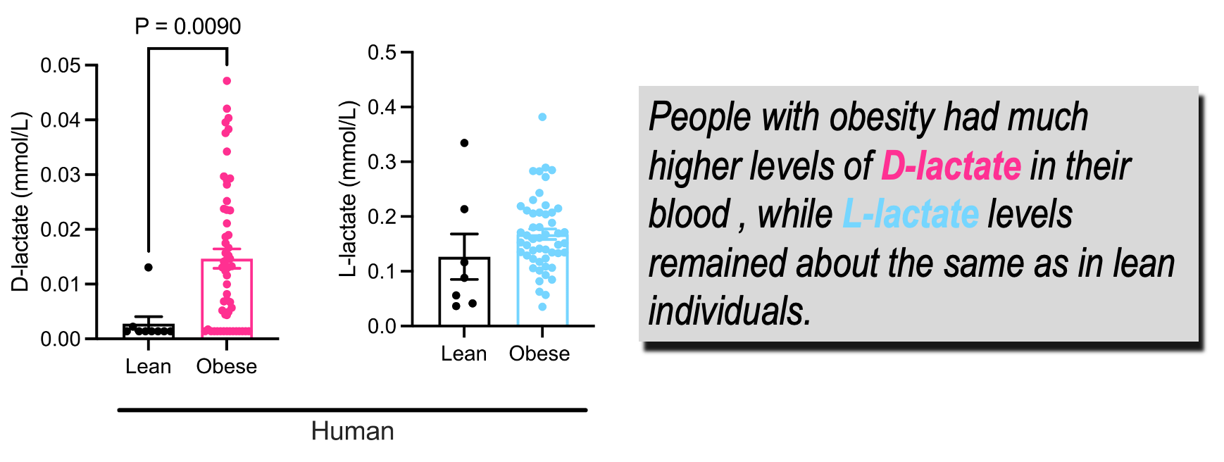 Lactate's Evil Twin Fuels Metabolic Chaos. How New Science Is Fighting ...