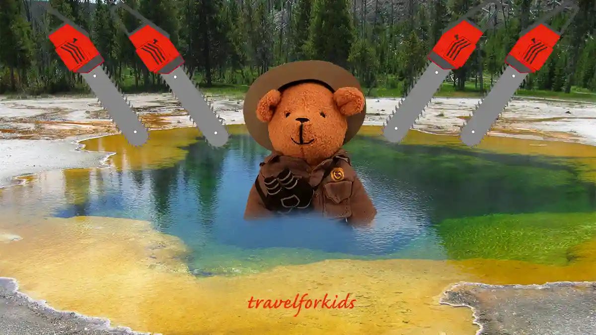 Park ranger in hot pool chainsaws overhead Park ranger in hot pool chainsaws overhead