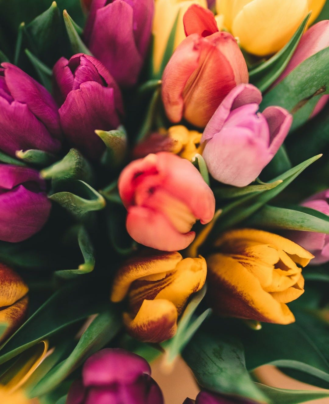 assorted flowers assorted flowers