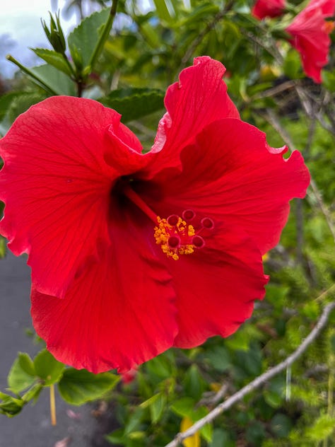 Hawaii Big Island