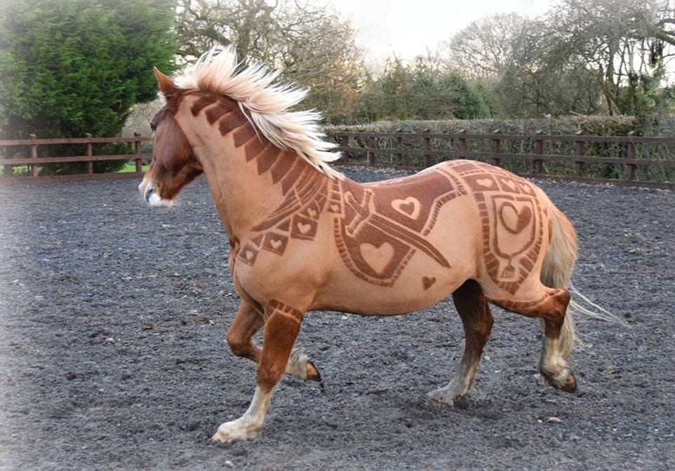 Horse clipper becomes sensation after trimming a series of complex designs  | Daily Mail Online