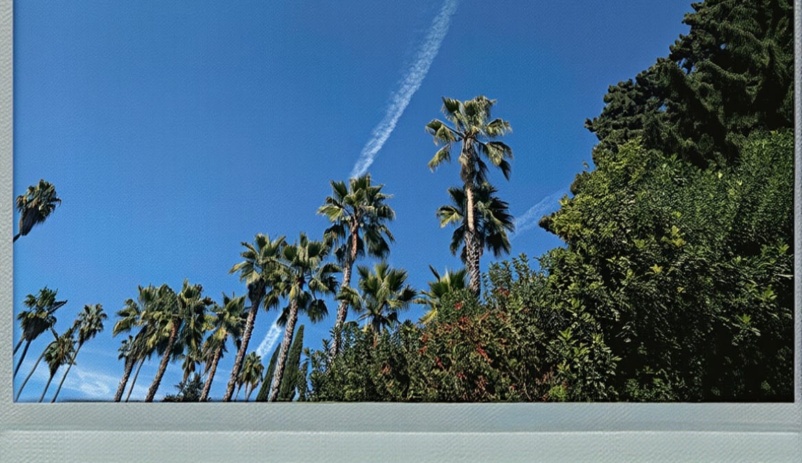 The Comprehensive Bar Pilar Guide to Los Angeles