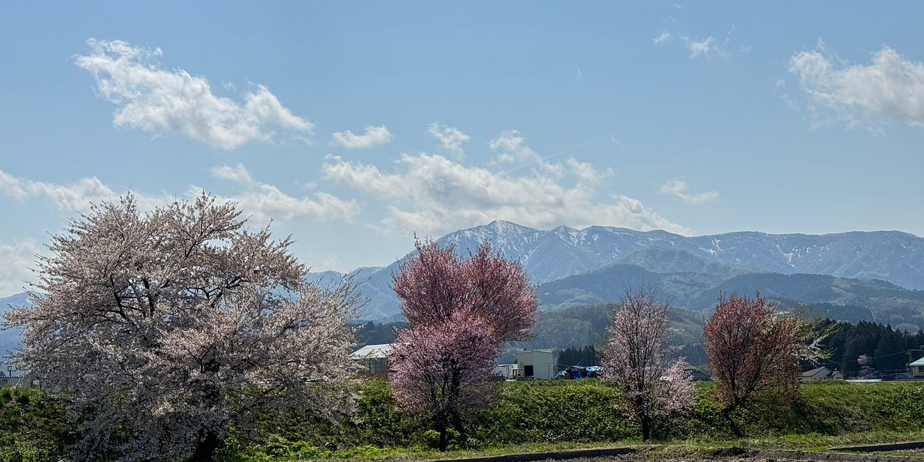 Spring in Rural Japan Photo Essay