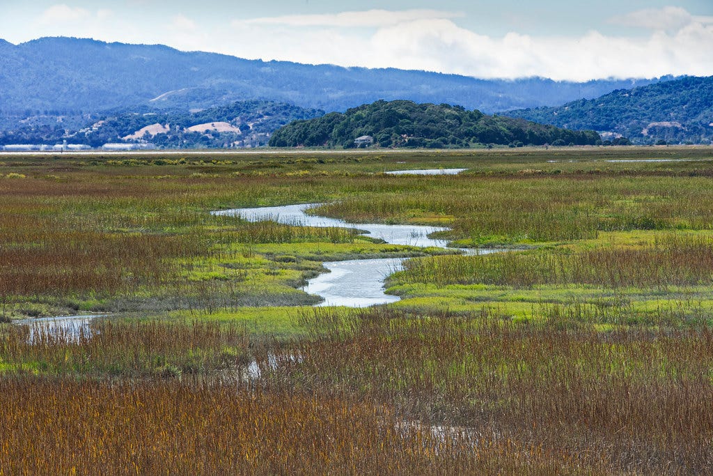San Pablo Bay National Wildlife Refuge --- Explore Dec-20,… | Flickr
