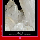 One Archetype: Nature Octave