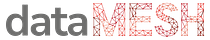 dataMesh