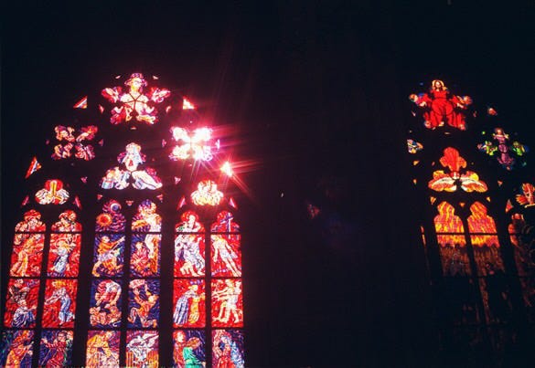 1) A tree large tree with many branches & trunks weaving into one another. 2) Freshly washed apples & oranges lined up on a kitchen counter. 3) The setting sun shining through the stained glass windows of a church. 4) A black & white photograph of small clusters of white flowers. 