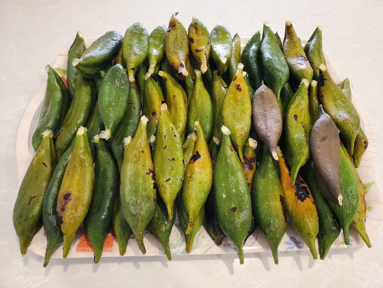 Brachychiton acerifolius [pods - Newington - 2322 grams] 20230515_121727 sml.jpg