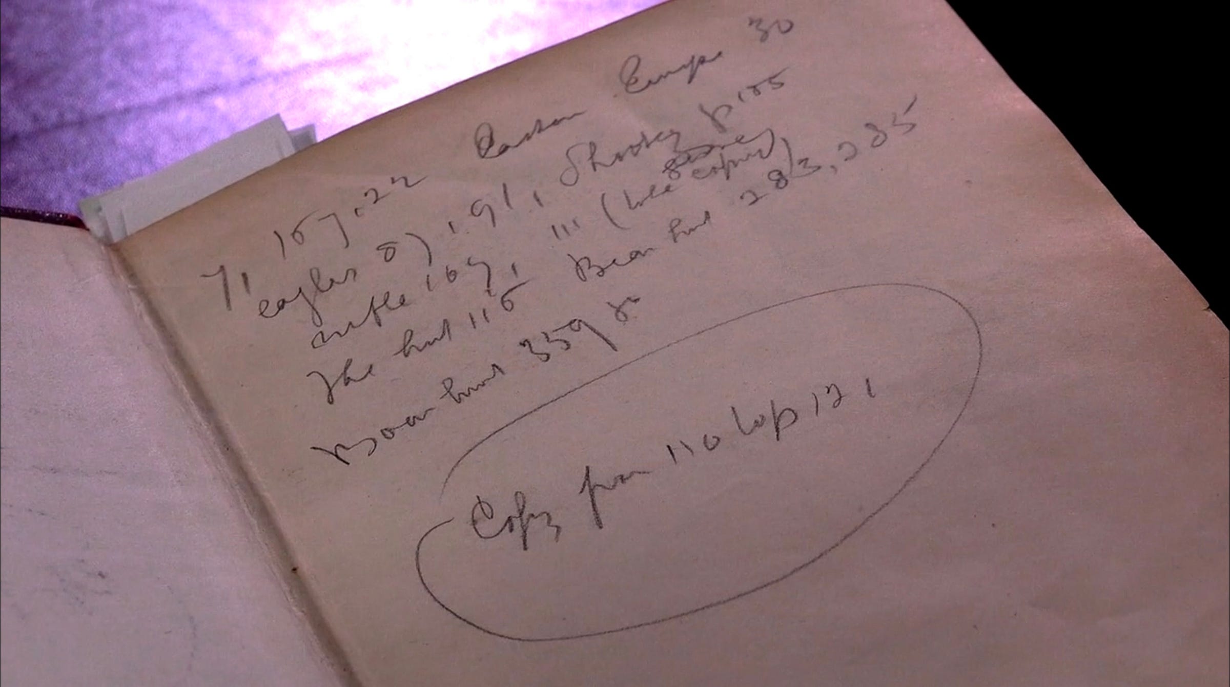 Annotazioni a matita di Bram Stoker, l'autore di Dracula, all'interno di uno dei libri della collezione della London Library.
