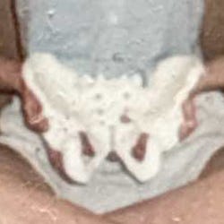 Pelvic Health, Whole Health