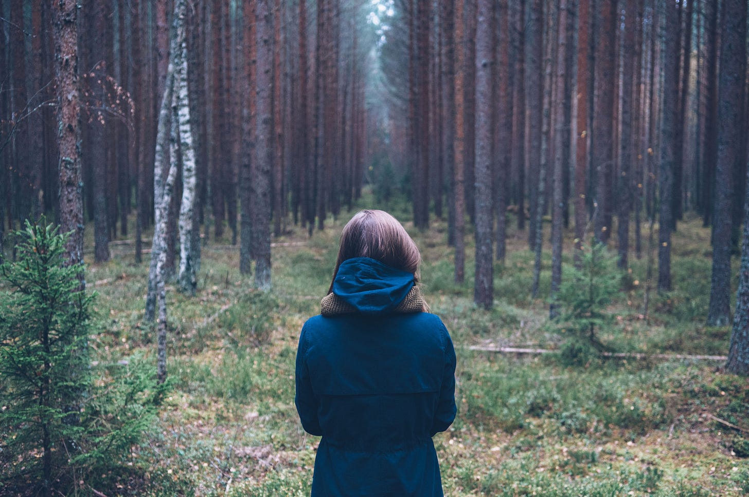 Back view of woman alone in forest.
