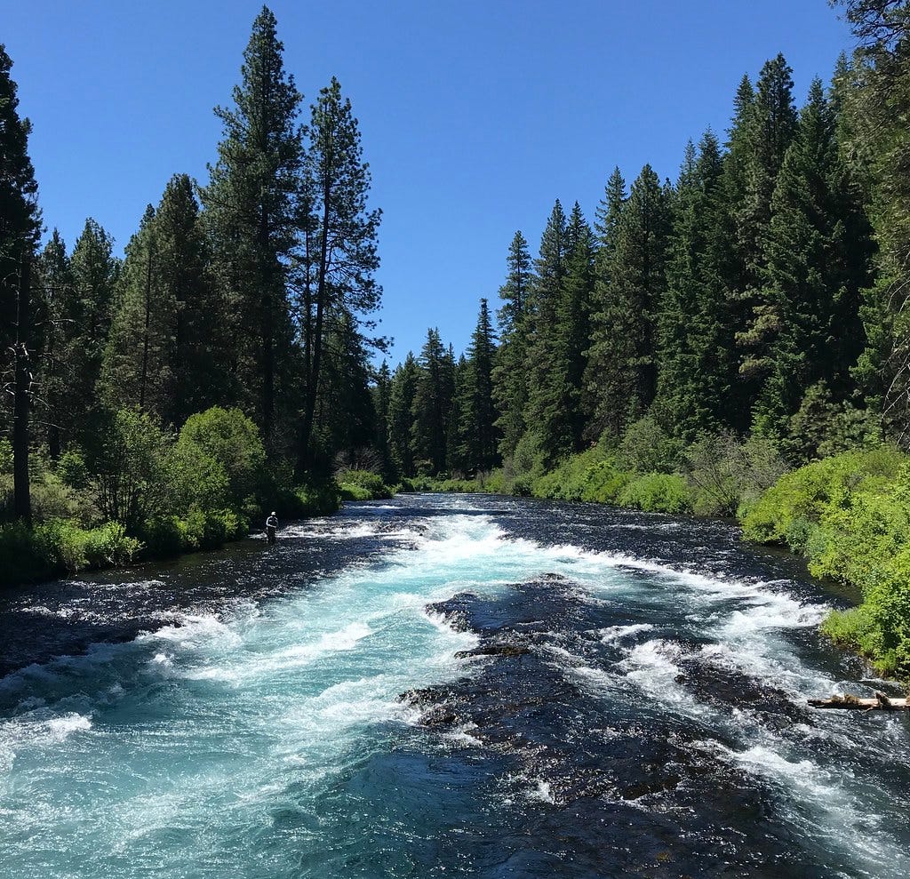 The Beautiful Metolius River The Beautiful Metolius River