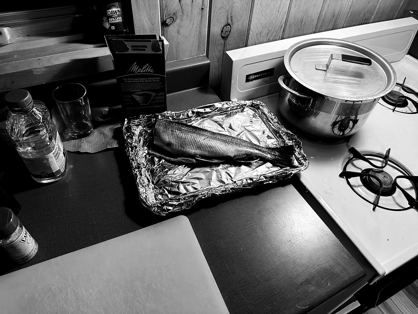 A brook trout on the camp kitchen counter preparing to be cooked.