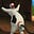 giant phallus's avatar