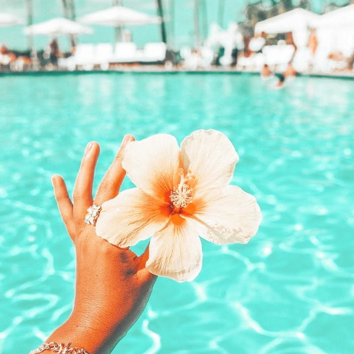 Sunkissed Pages☀️\ud83d\udc8b