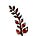 Crimson Fern's avatar