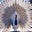 Joann B's avatar