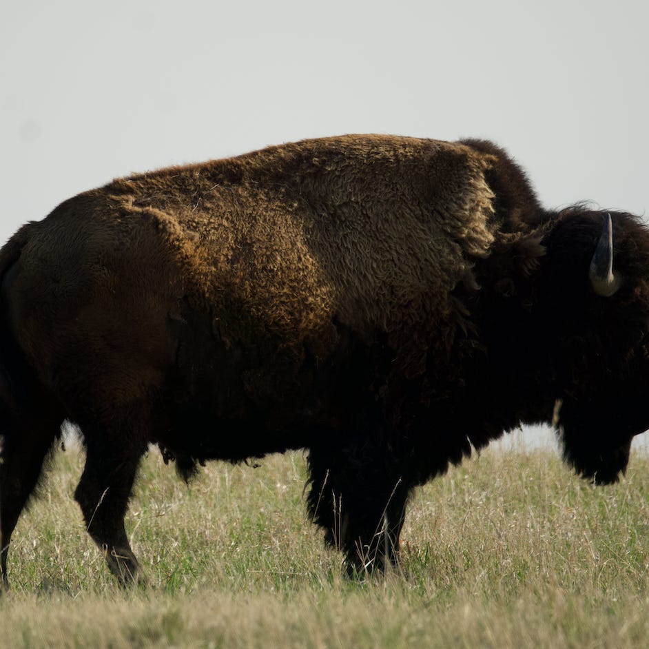 Stephen’s Substack