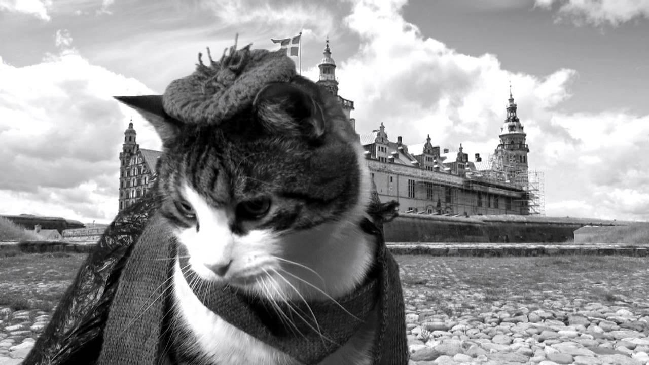 Hamlet - Cat plays Shakespeare - YouTube