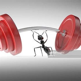 The Law of Strength
