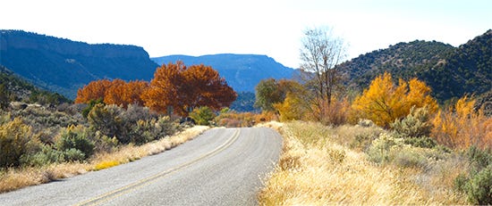 Photo along the Rio Grande, New Mexico
