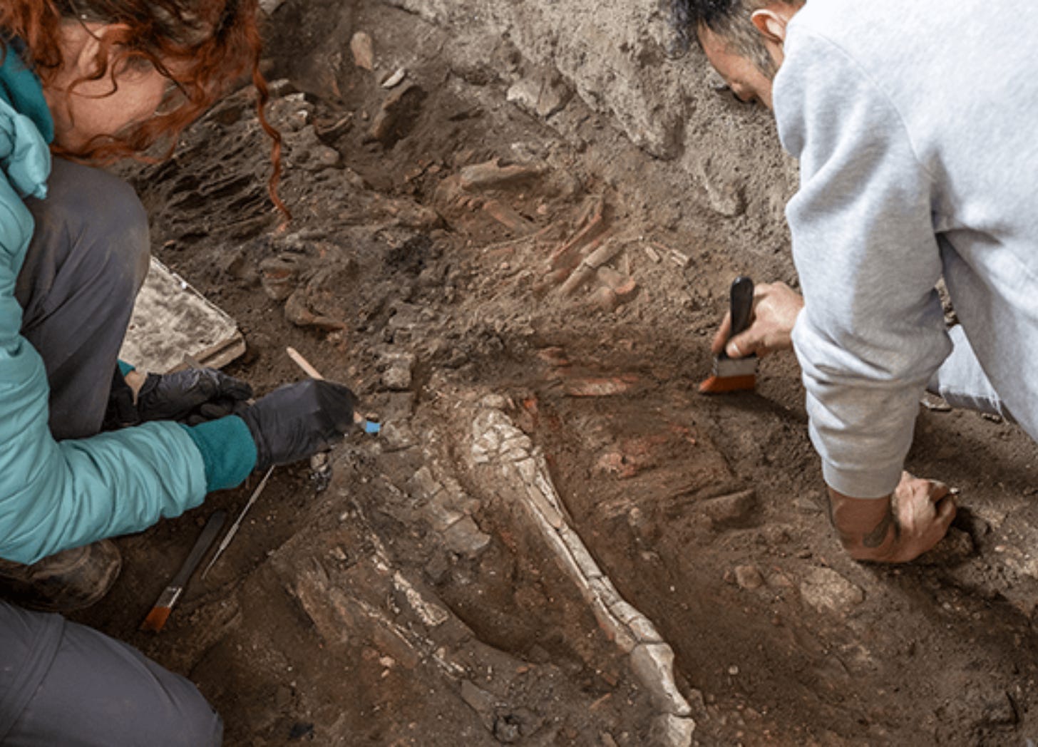Image credit: Archaeological Park of Pompeii Image credit: Archaeological Park of Pompeii