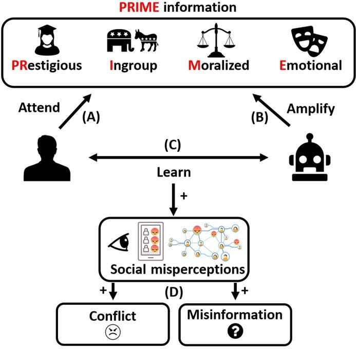 Social media algorithms exploit how humans learn from their peers |  EurekAlert!
