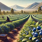 De Espectador a Líder Mundial: La Transformación del Arándano Peruano (Parte 1) 