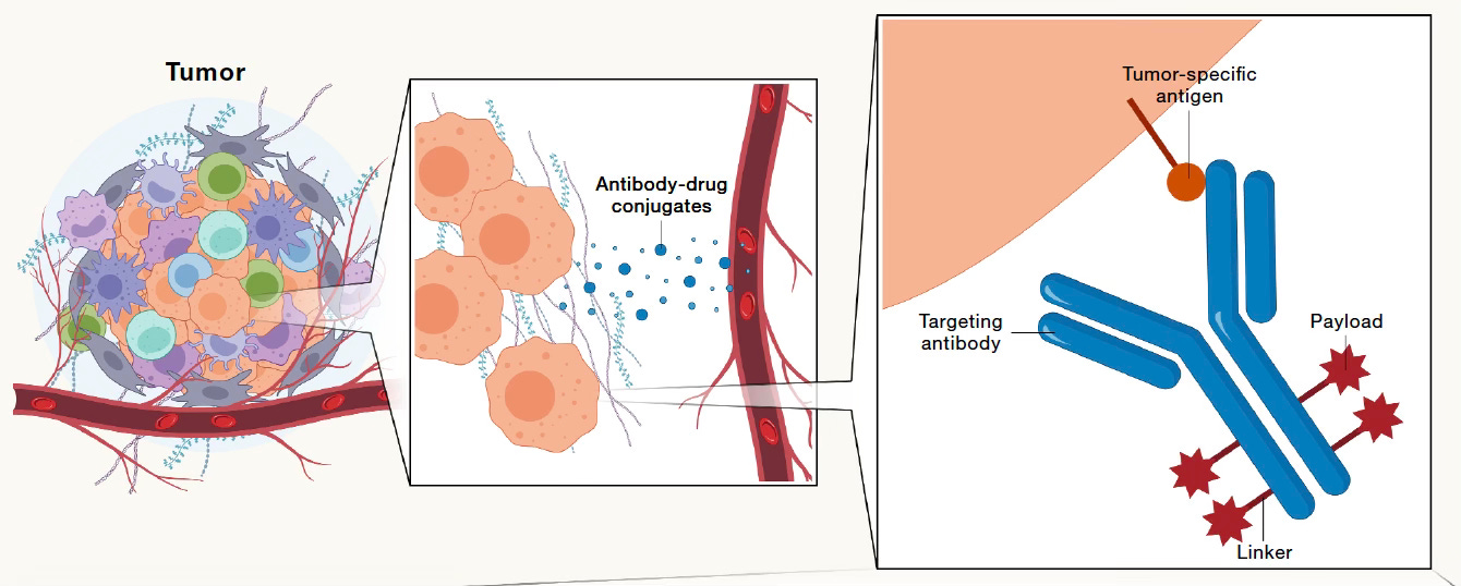 The Remarkable Proliferation of Cancer Immunotherapies
