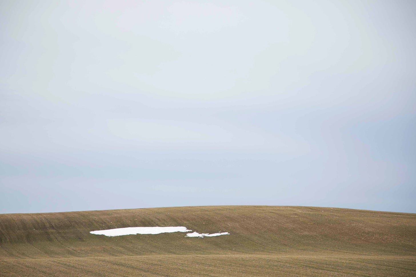 Two patches of snow lie on a greenish/yellow field in April 2022. Photo credit: Nancy Forde. All rights reserved. nancyforde.com