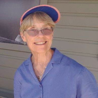 Artwork for Travels with Sizzle