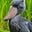 Niall Etheridge's avatar