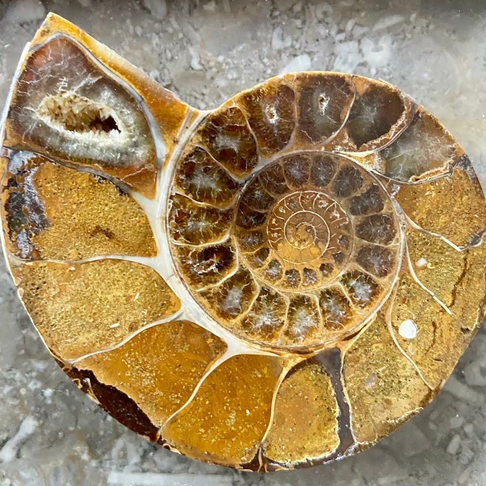 The Jack Croxall Newsletter