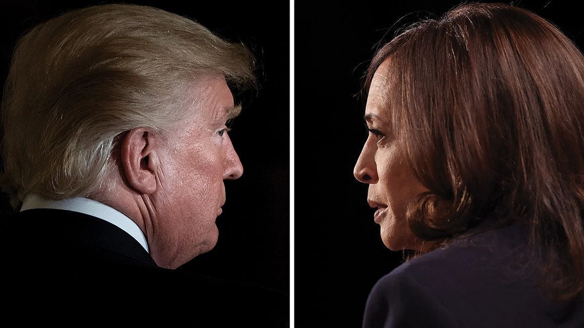 Trump vs Harris: Who is leading in the US presidential election polls? |  Euronews