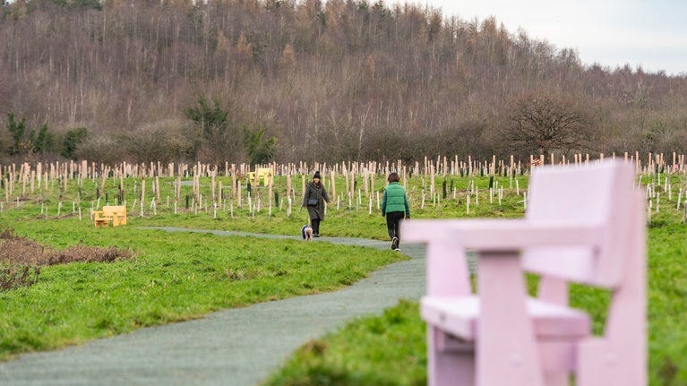 The Commemorative Woodland at Erddig, featuring a pink bench in the foreground. In the background, a few people stroll along a pathway surrounded by greenery. The Commemorative Woodland at Erddig, featuring a pink bench in the foreground. In the background, a few people stroll along a pathway surrounded by greenery.