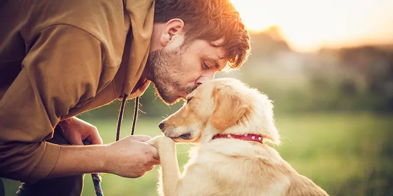 Oxytocin: 13 Natural Ways to Increase the Love Hormone | Amen Clinics Amen  Clinics