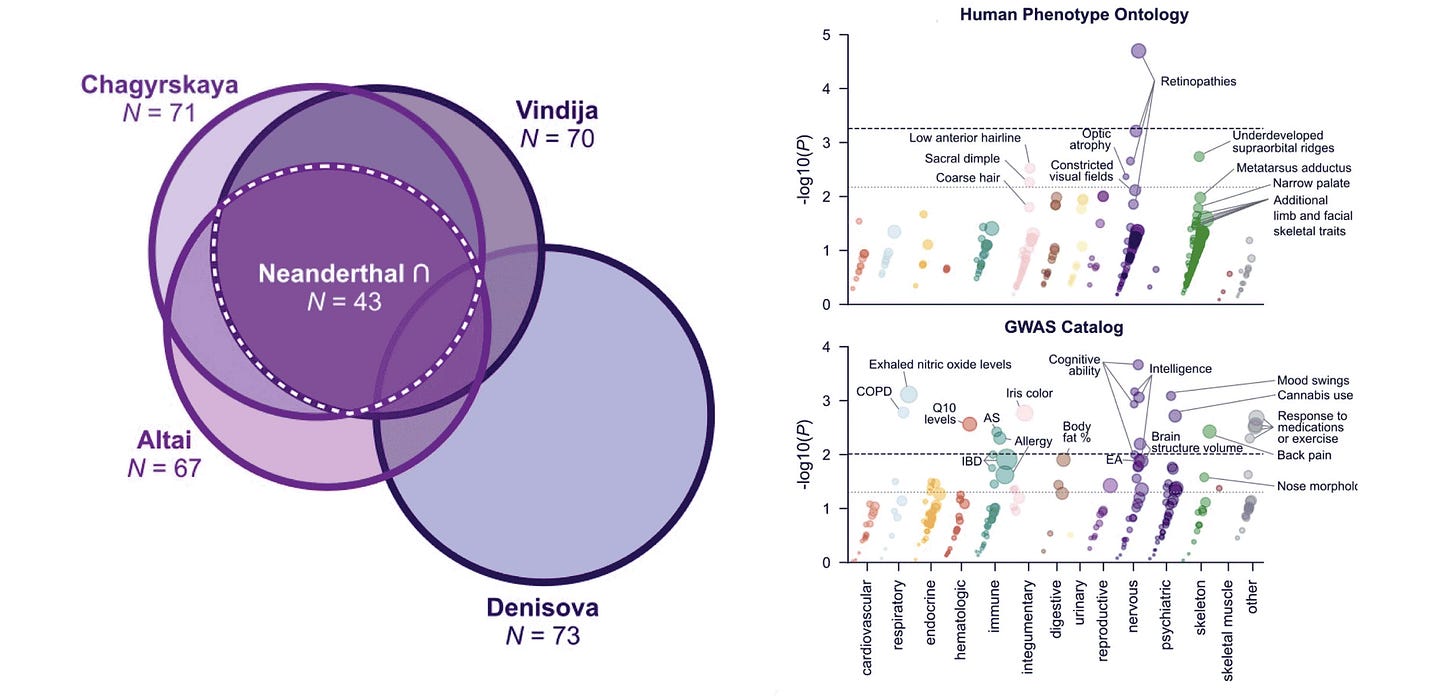 Two graphs. At left is a venn diagram showing the number of diverged 3D loci in three Neanderthal and one Denisovan genome, as well as the intersection of the three Neanderthals indicating 43 loci Two graphs. At left is a venn diagram showing the number of diverged 3D loci in three Neanderthal and one Denisovan genome, as well as the intersection of the three Neanderthals indicating 43 loci